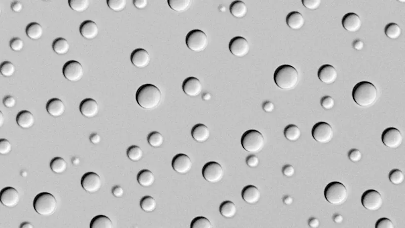ddx4 droplets