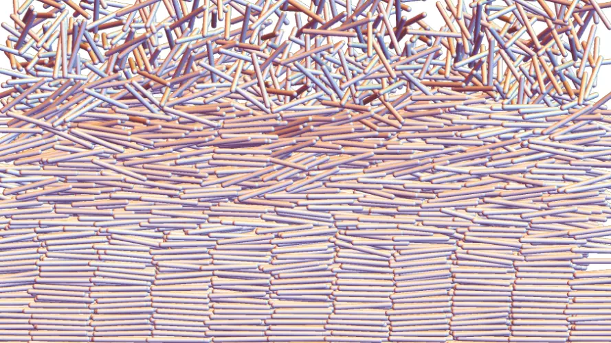 sedimentation diffusion equilibrium of rods