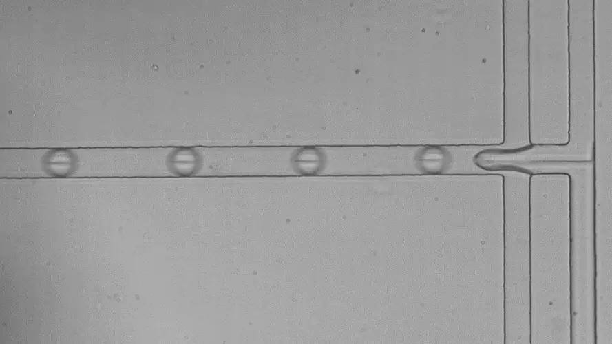 microfluidic-droplets