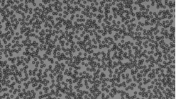 LiquidStateTheory1